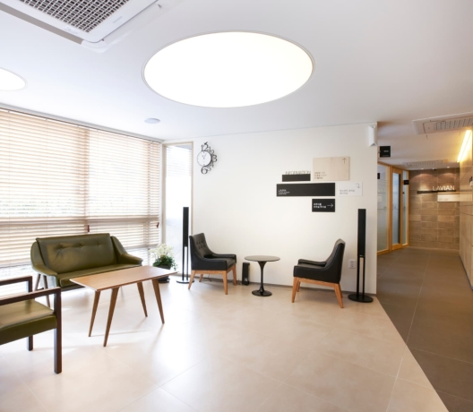 Lavian plastic surgery3