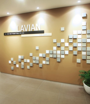 Lavian plastic surgery4