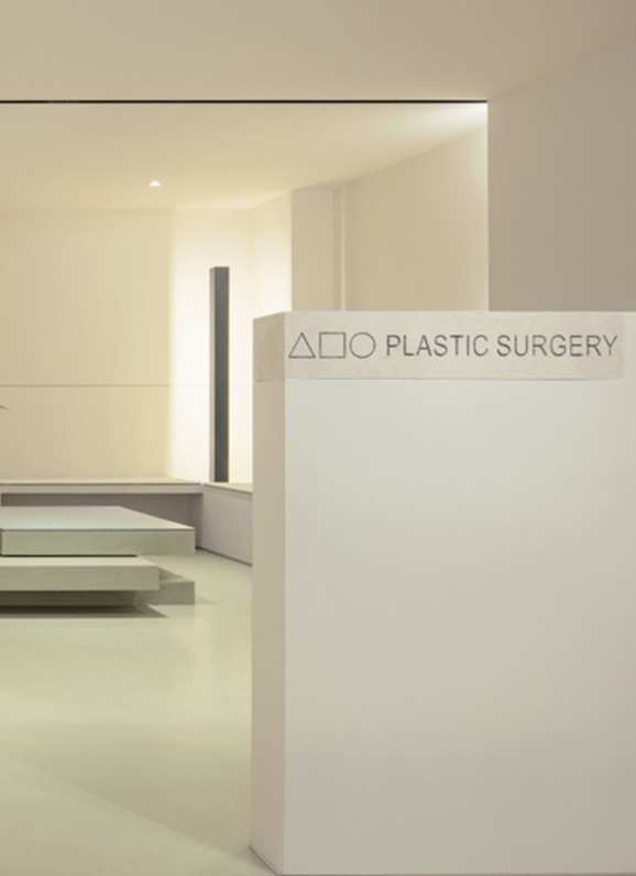 345 Plastic Surgery 1